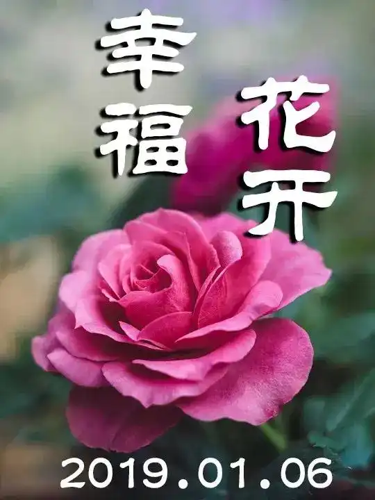一天的心情靠随和,一生的幸福靠随缘,朋友们,早上好人生
