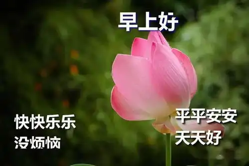 微信动态早上好表情图最美早上好表情包
