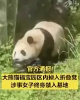 滚动
