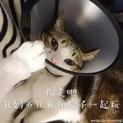 最火抖音表情包你走吧,我妈不让我跟傻子玩
