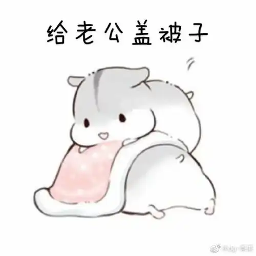 仓鼠表情包送老公一颗星piu
