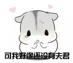 仓鼠球表情包系列夫君
