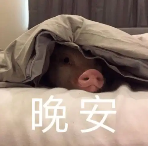 小狐探店关系到每天睡个好觉的秘密,这个家居你买对了吗
