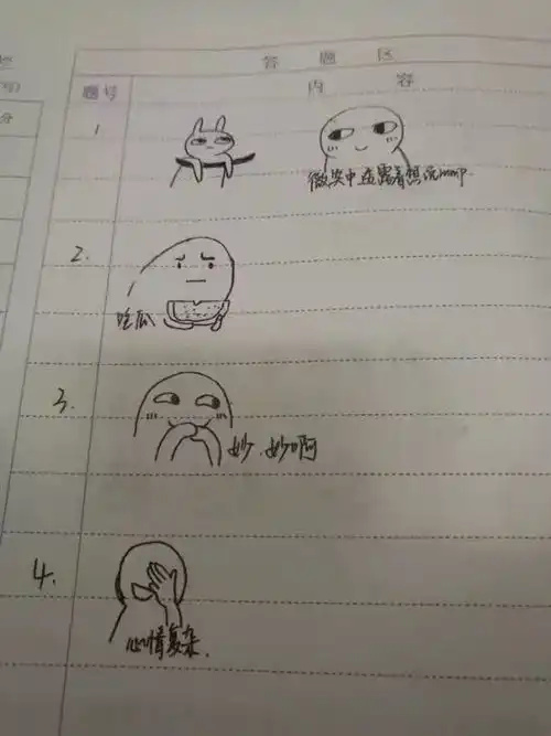 学生考试画表情包,改卷老师十分感动并给了0分
