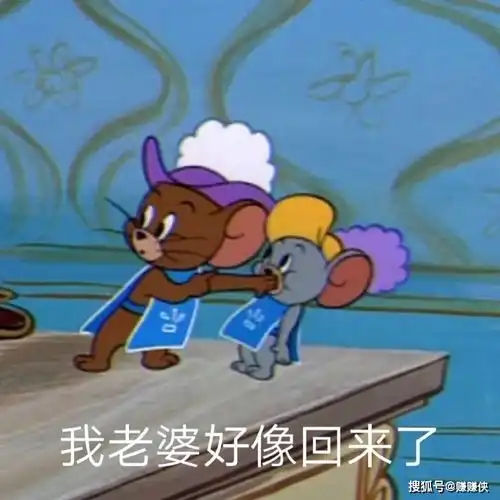 可爱搞笑表情包图片我老婆好像回来了,快
