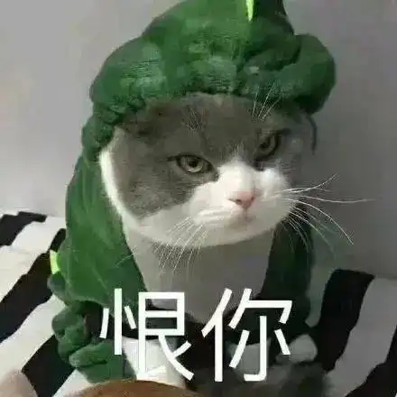 丑东西,闭嘴丨第195期喵表情
