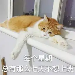 打哈欠不但让猫面目全非,还会跨物种传染

