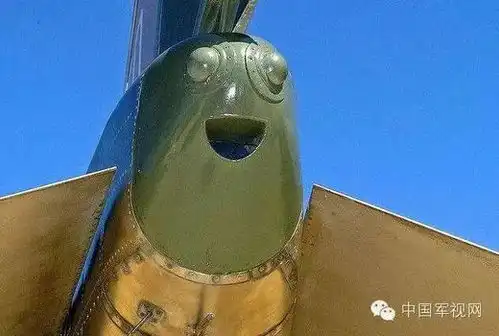战机也能自带表情包歼10竟比兵马俑还高冷

