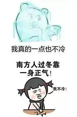 低温来袭一组表情包告诉你他们抗击冰冻雨雪天气的底气
