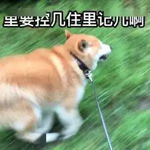 榆林一司机无证驾驶被举报,交警把车拦下一看这孩子多大
