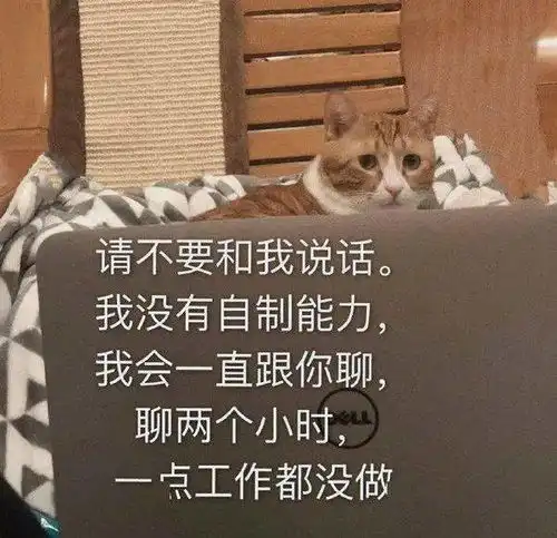 一看就是在好好学习的头像