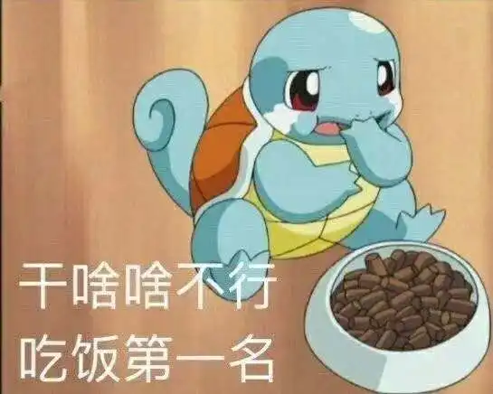 有没有杰尼龟的表情包分享一下
