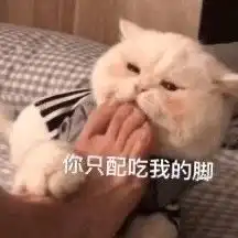 哄你家臭宝开心的表情包
