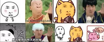 误会尔康的,又何止林心如

