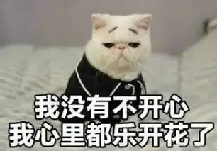 延长供暖山东多地官宣滨州
