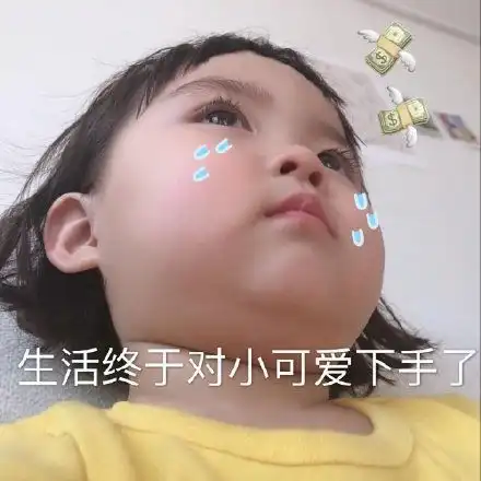 又乖又怂猫咪猫咪表情
