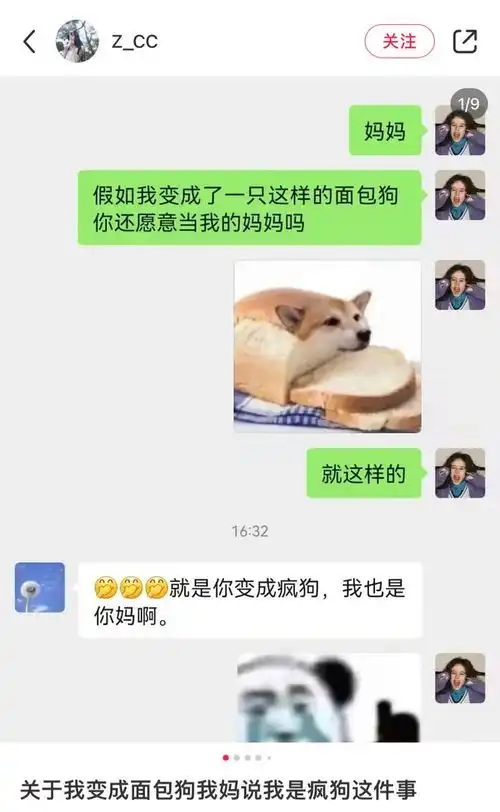 宠物表情包出处宠物