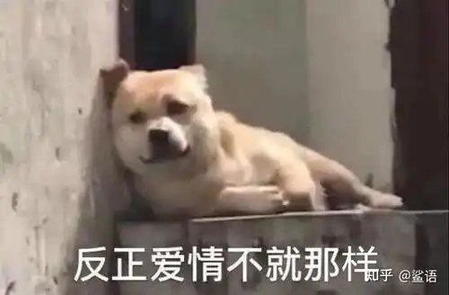 如何证明自己是沙雕文案大户
