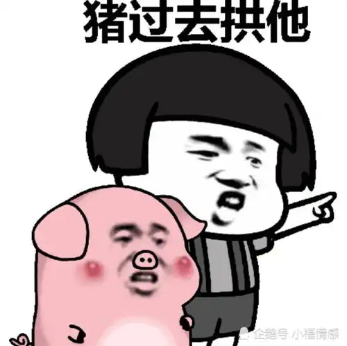 情侣聊天新套路拱定你了表情包,赶紧收藏拱白菜去了
