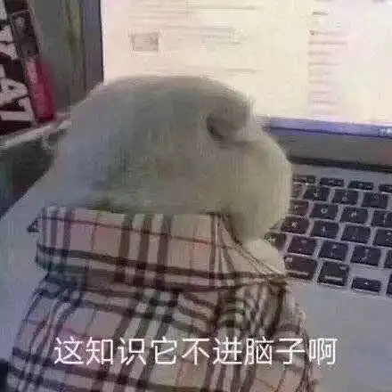 刚上小学的孩子英语语感该怎样培养

