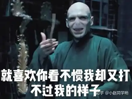 哈利波特伏地魔表情包强劲来袭,爱我你怕了吗
