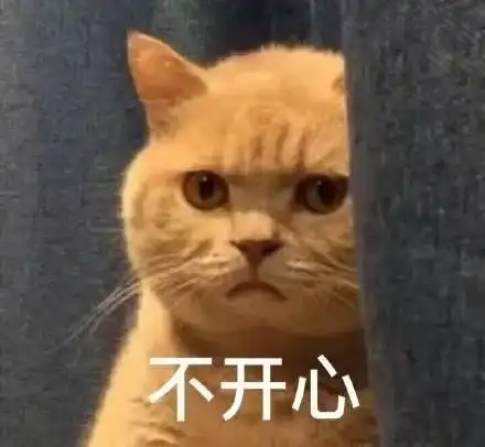 表情包我妈不让我跟傻子玩

