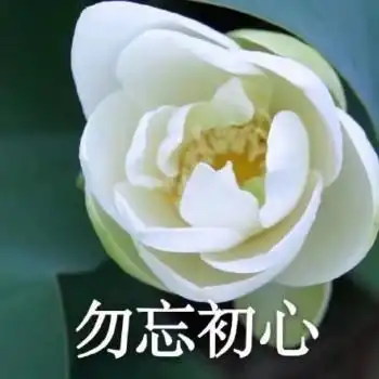 沙雕莲花表情包
