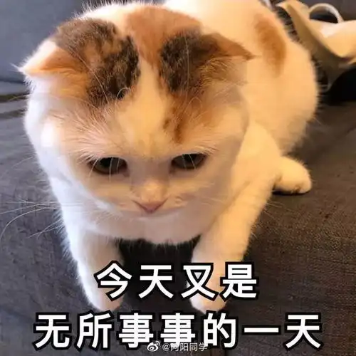 宅在家的n种状态,你中招了吗

