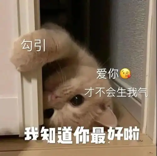 今日份腿照请查收第265期喵表情
