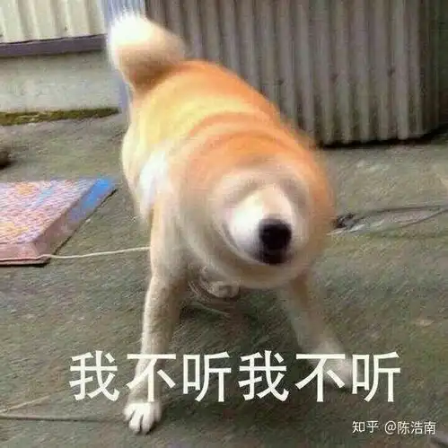你们名字的来历是怎样的
