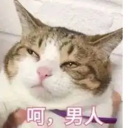 搞笑段子男朋友问,我跟火锅哪个重要
