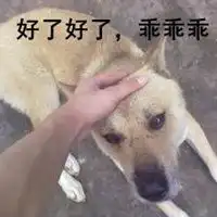 好了好了乖乖乖表情包微信头像图片大全
