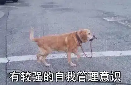 我猜每个人都会有那么几个狗狗的表情包
