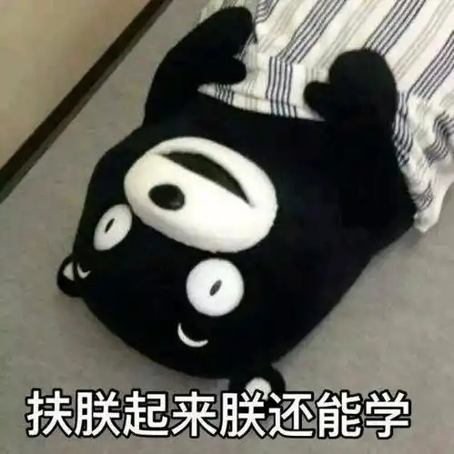 谁有熊本熊扶朕起来朕还能学的表情
