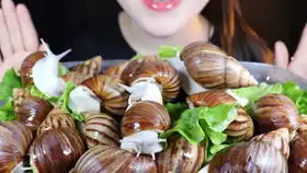 连环屁边角边小姐姐吃原谅色果冻提拉米苏绿色露楚膨化食品莲藕水果大福等,助眠音食音咀嚼音吃播哄睡颅内高潮