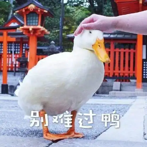 现在的年轻人已经开始孵蛋了
