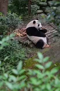 成都九寨沟六天五夜美食与美景悠闲惬意的闺蜜二人之旅
