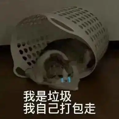 再添十碗饭丨第809期喵表情包
