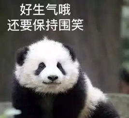 晚上好表情包熊猫关窗