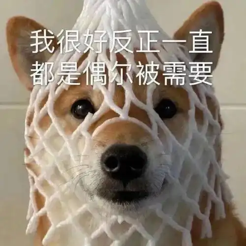 今日表情包,26
