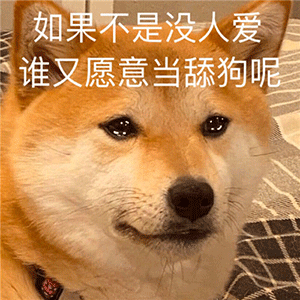 日常沙雕表情包更新一看就不是什么好人
