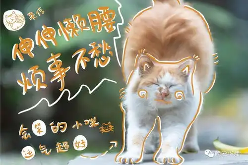 嘻嘻嘻嘻嘻嘻嘻嘻嘻嘻
