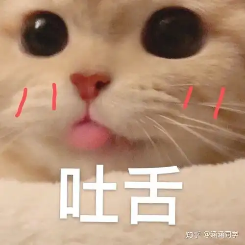 有什么少女心爆棚的好物推荐吗

