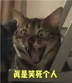全新猫咪斗图表情包来啦
