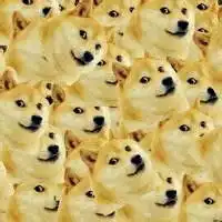 搞笑的柴犬doge表情图片头像
