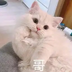 沙雕表情包假如我年少不自卑妹妹肯定一大堆
