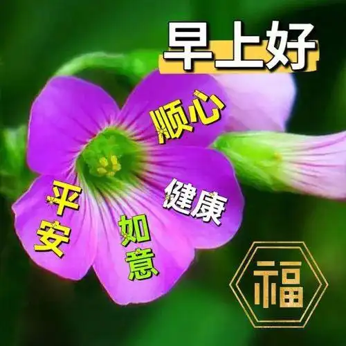 每天早上祝福语表情包祝你开心