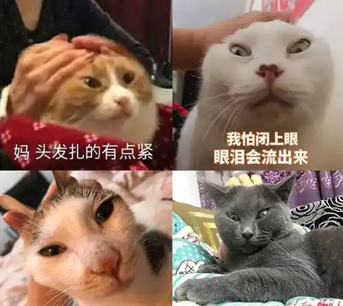 烈火如歌妈,头发扎得有点紧
