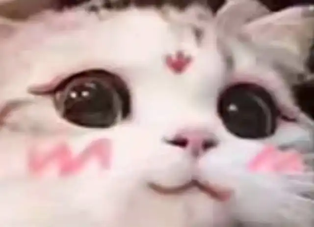 每天都在用的表情包,竟然是一个百大up主
