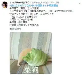 中国网络用语讲座走红日本真香大猪蹄子...
